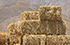 borrego web button