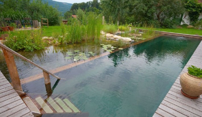 moss architect natural pool