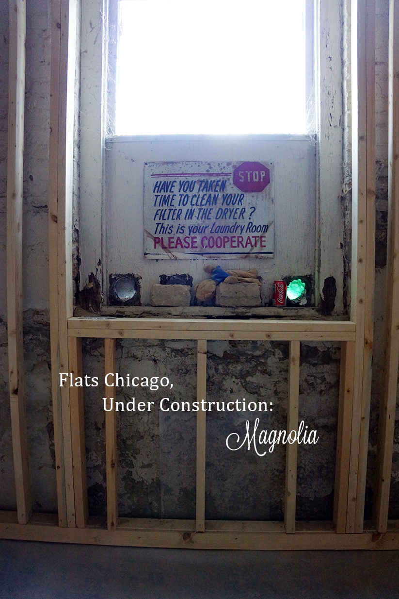 Flats Chicago: Magnolia property in progress Featured Image