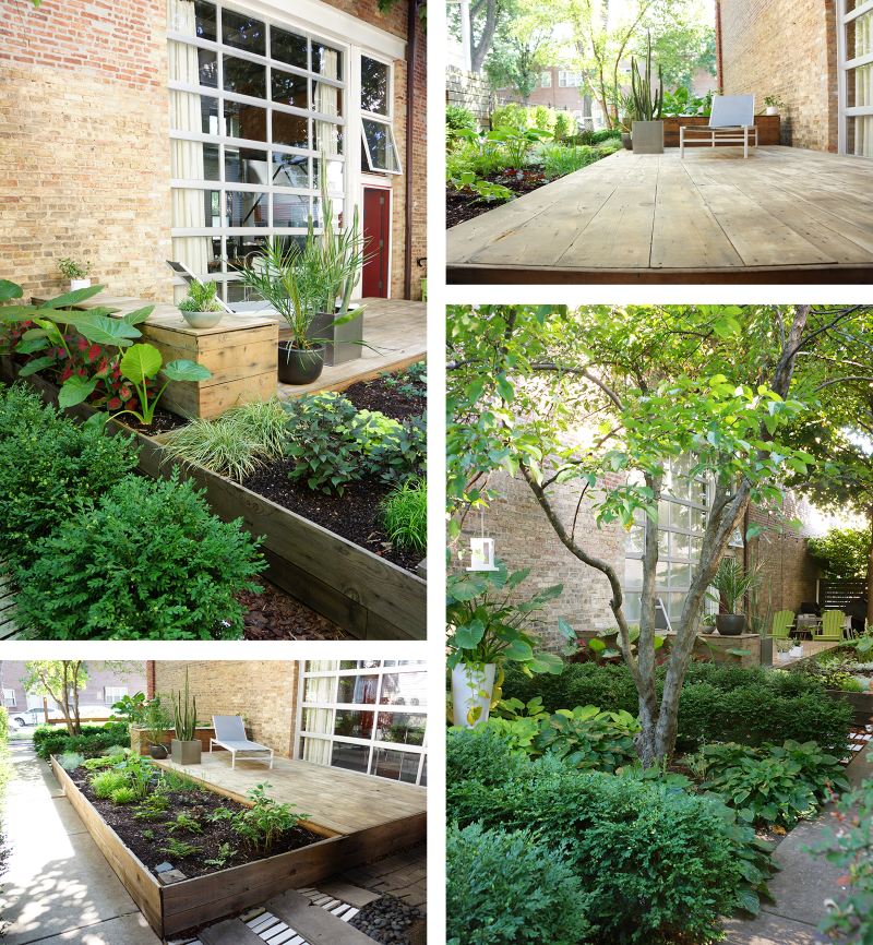 Moss Raised Bed Collage