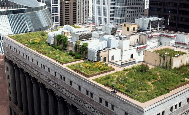 city hall green roof
