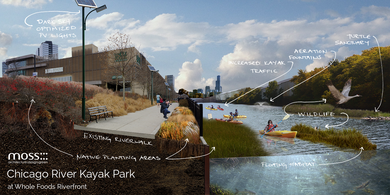 Chicago River Kayak Park Proposal