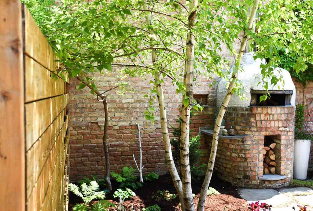 Sustainable Garden With Tree