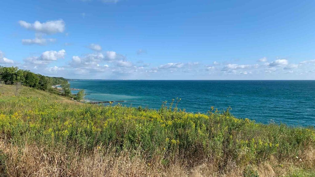 Lake Shore During Sunny Day