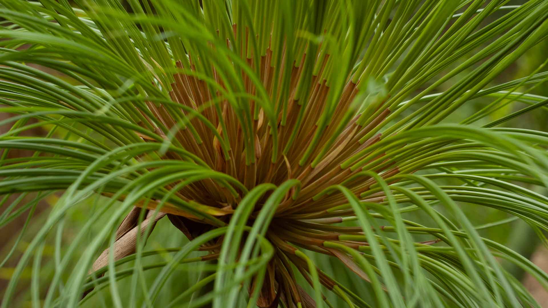 Contact With Nature Helps us Preserve It Featured Image