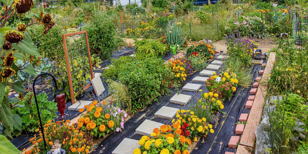 Moss Chicago Architect Cohousing Community Garden