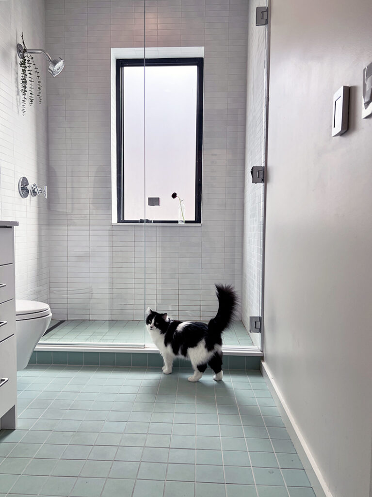 Moss Chicago Architect Bathroom Renovation