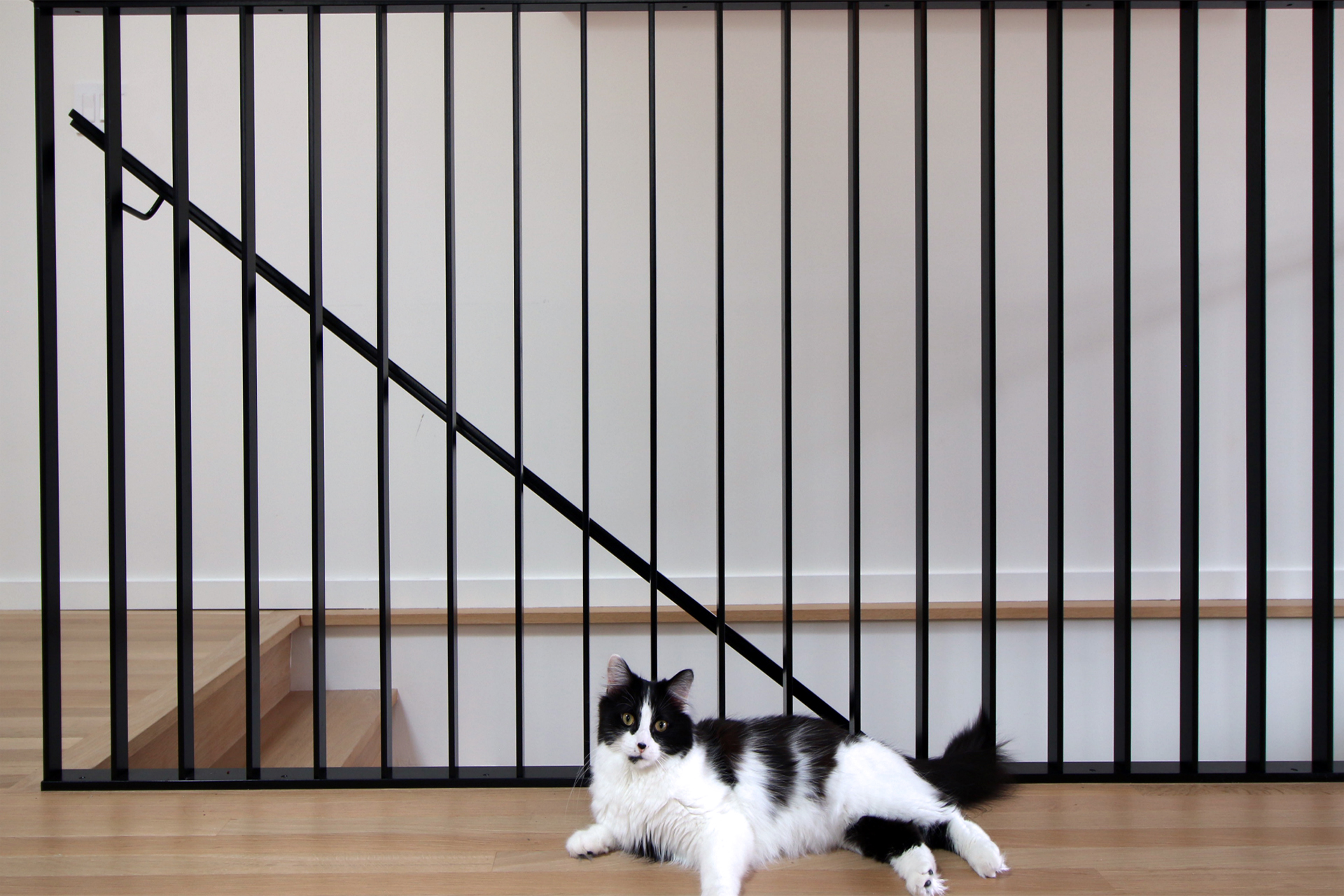 Moss Chicago Architect New Entry Custom Railing