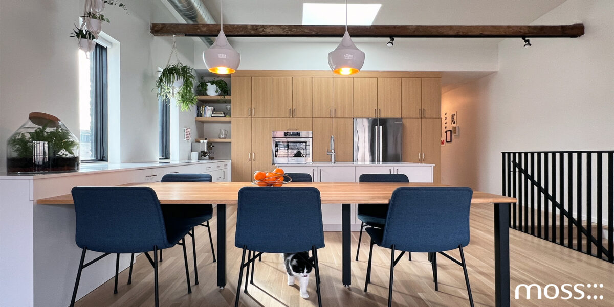 Moss Chicago Architect West Town Mixed Use