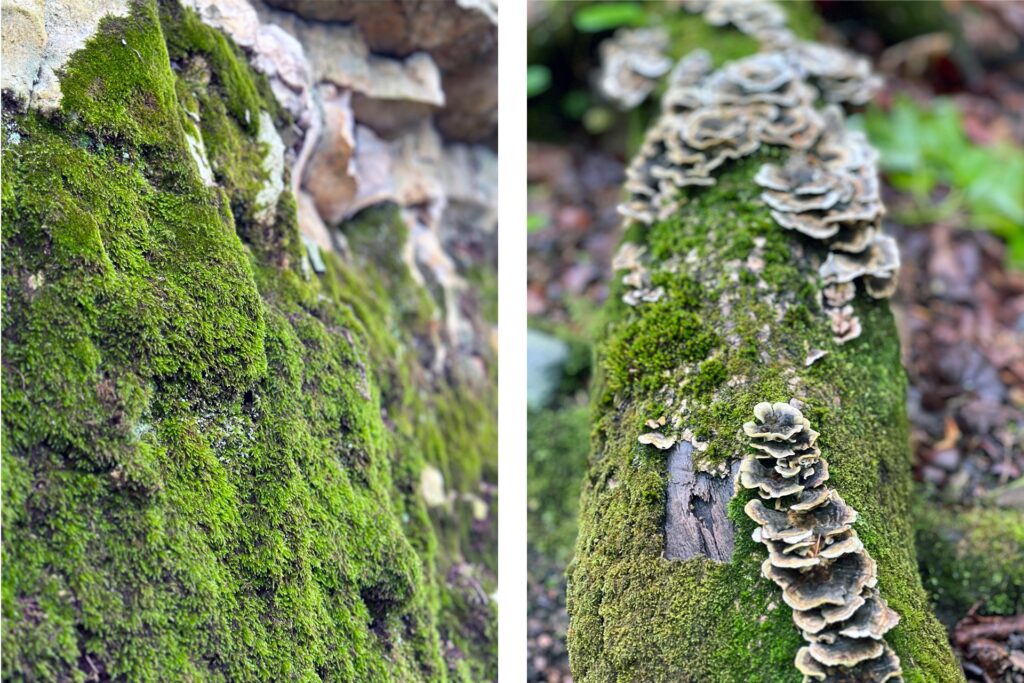 Moss Chicago Architect Sustainable Design Materials