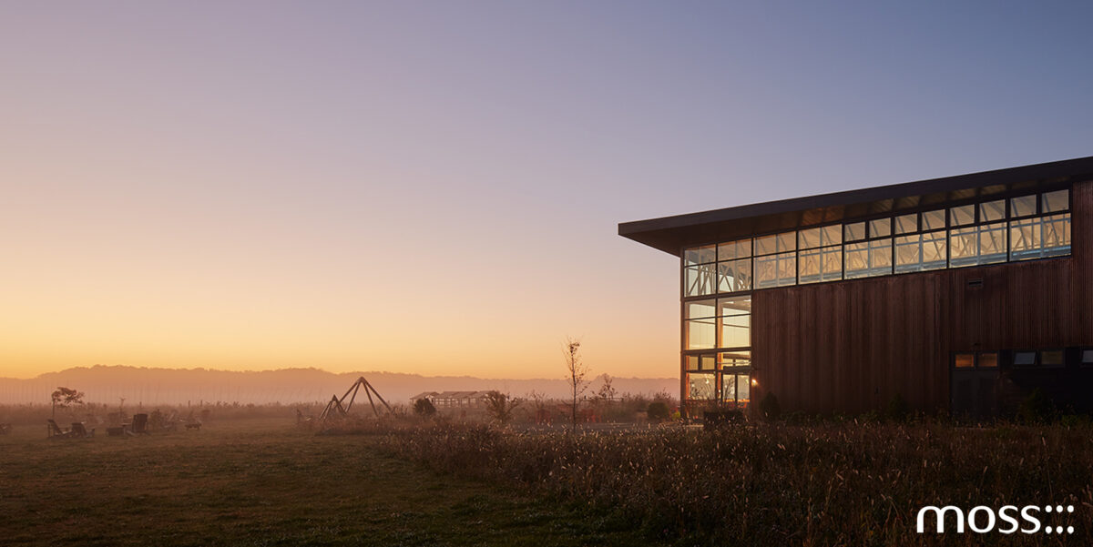 Moss Chicago Architect Modern House Architect Tips Maximizing Daylight With A Skylight House Plan