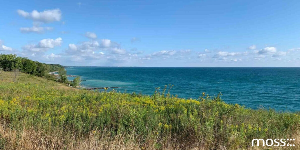 Moss Chicago Architect North Shore Luxury Residential Design