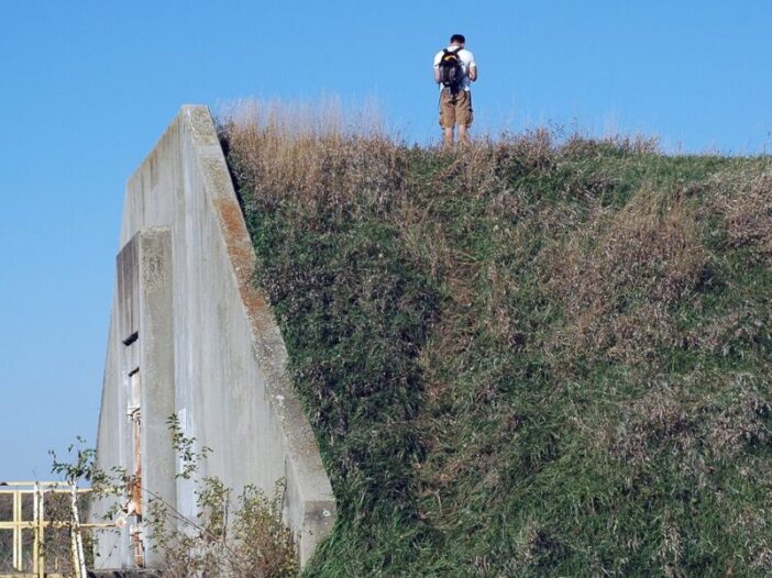Moss Chicago Architect Nature Inspired Architecture Biomimicry Shapes Buildings