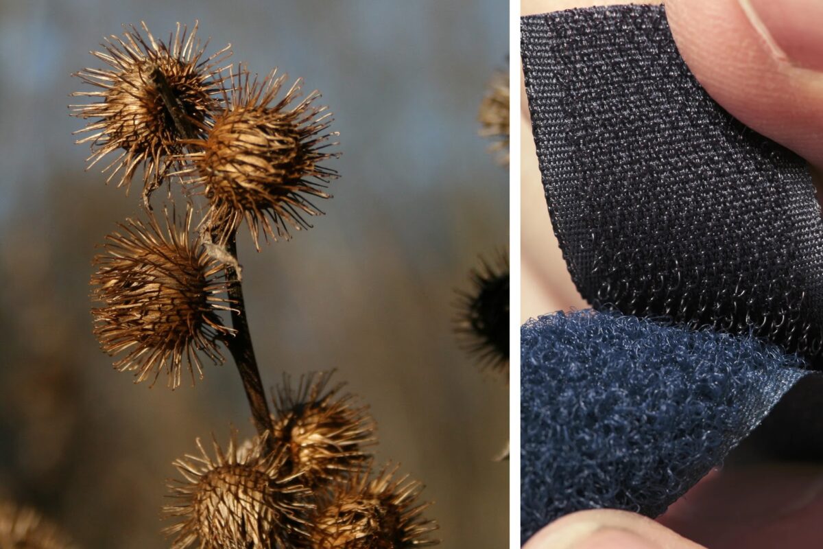 Moss Chicago Architect Nature Inspired Architecture Material Design