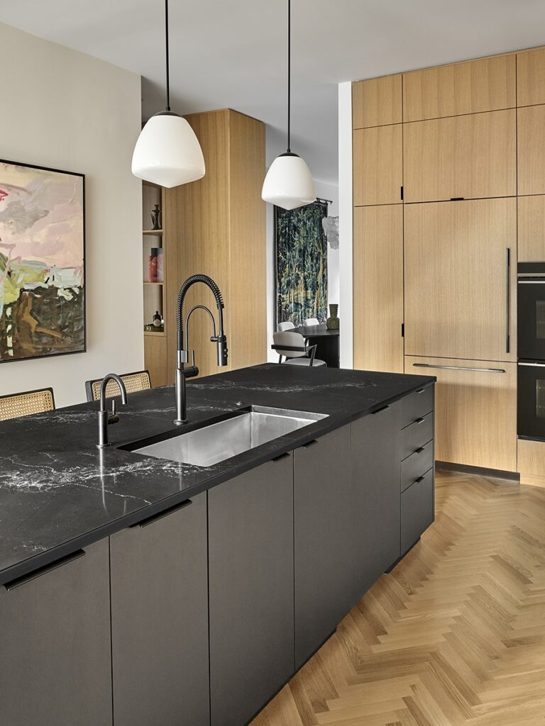 Moss Chicago Architect Single Family Renovation Kitchen