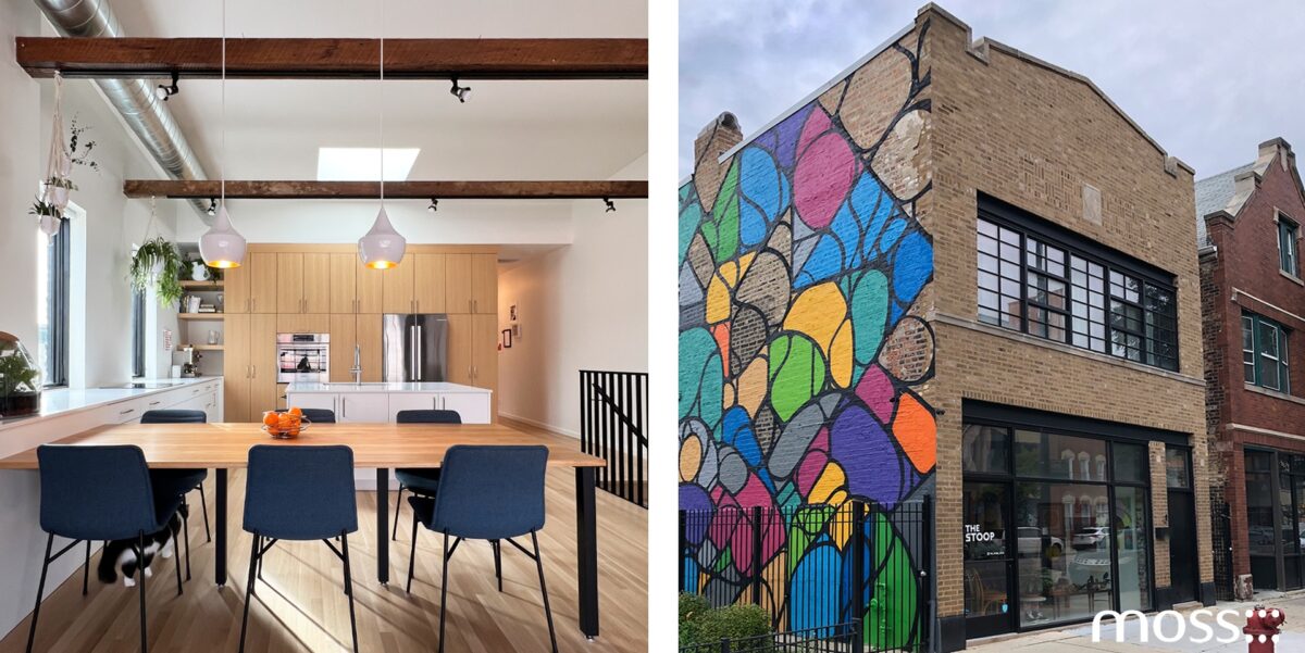 Moss Chicago Architect Live Work Homes